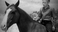 «The Adventures of Champion (1955 - 1956)» — обои к сериалу #1