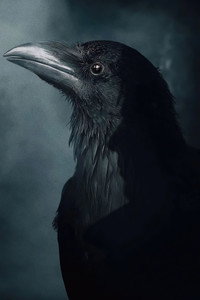 Постер сериала «Песочный человек (2022-2025)» — (73 из 146)