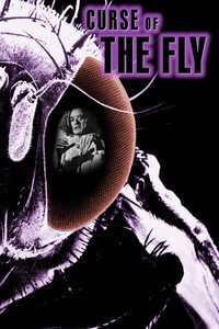 Постер фильма «Проклятие мухи (1965)» — (13 из 25)