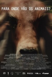 Imagem do Filme Para Onde Vão Os Animais