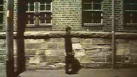 «Groping (1980)» — обои к фильму #1