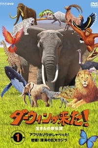 ダーウィンが来た! (2006)