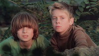 «День колибри (1984)» — обои к фильму #3