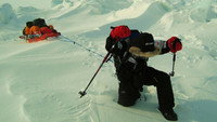 «Beyond the Arctic (2008)» — обои к фильму #1