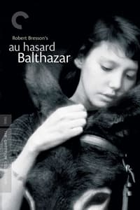 Постер фильма «Наудачу, Бальтазар (1966)» — (7 из 24)