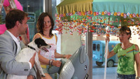 «Ein Hund, zwei Koffer und die ganz große Liebe (2005)» — обои к фильму #2
