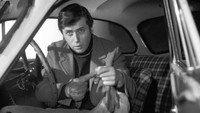 «Кошачьи следы (1971)» — обои к фильму #6