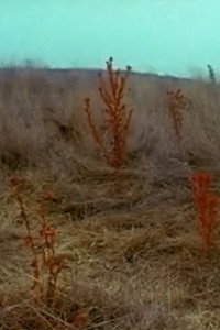In a Disturbed Landscape (2007) poster