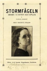 Stormfågeln