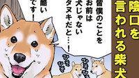 Origins / An Avant-Garde Pair / Be Your Canine Self
