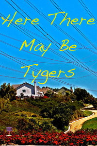 Here There May Be Tygers