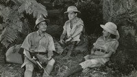 «Jungle Safari (1956)» — обои к фильму #1