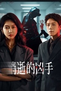消逝的凶手