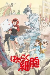 Poster de Cells at Work!