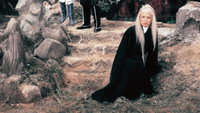 «Храбрый лучник 4 (1982)» — обои к фильму #1