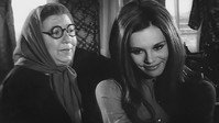 «Yarali ceylan (1970)» — обои к фильму #1