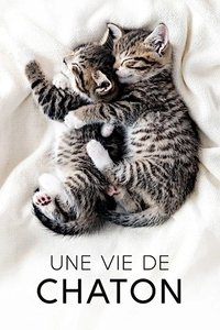 Poster de Une vie de chaton