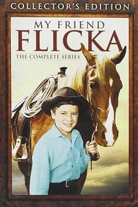 tv show poster My+Friend+Flicka 1955