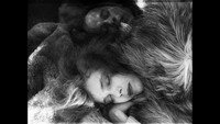 «По закону (1926)» — обои к фильму #1