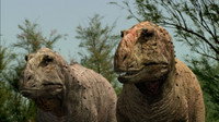 «Dinosaur Planet (2003)» — обои к мультсериалу #3