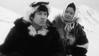 «Самые красивые корабли (1973)» — обои к фильму #1