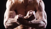 Do we need the alpha male?