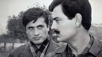 «Перелётные птицы (1964)» — обои к фильму #3
