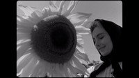 «Песнь о нивах (1947)» — обои к фильму #9