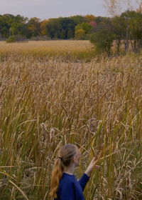 Imagem do Filme Wheat and Chaff