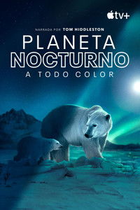 Poster de Planeta nocturno: A todo color