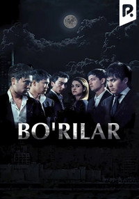Bo'rilar