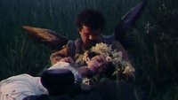The Voice of Grass