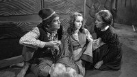 «Pohádka z Vetrného lesa (1976)» — обои к фильму #1