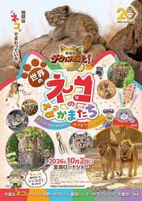 Darwin's Amazing Animals: Cats Around the World