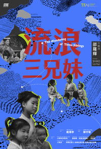 Poster de 流浪三兄妹