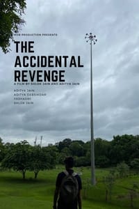 The Accidental Revenge (2023)