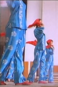 飞了ch