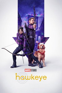Постер сериала «Соколиный глаз (2021)» — (14 из 208)