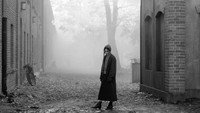 «Девушка с иглой (2024)» — обои к фильму #9
