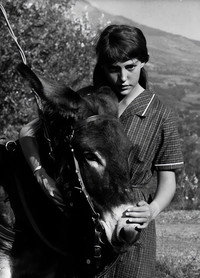 Постер фильма «Наудачу, Бальтазар (1966)» — (10 из 24)