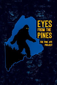 Постер фильма «Eyes from the Pines (2021)» — (2 из 4)