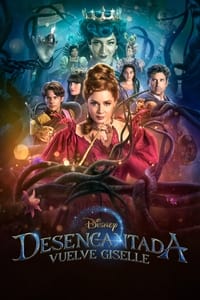 Poster de Desencantada