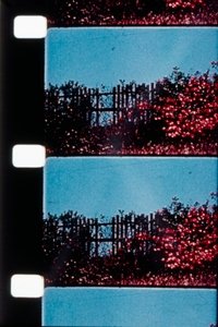 movie-images