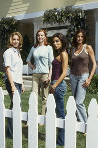 Постер сериала «Отчаянные домохозяйки (2004 - 2012)» — (18 из 95)