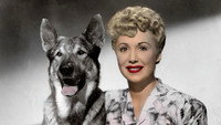 «The Return of Rin Tin Tin (1947)» — обои к фильму #1