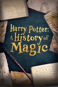 Harry Potter: A History Of Magic - 2017