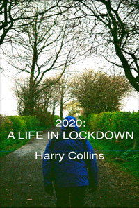 2020: A LIFE IN LOCKDOWN (2020) poster