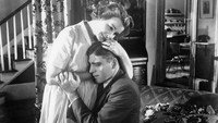 «Вернись, малышка Шеба (1952)» — обои к фильму #2
