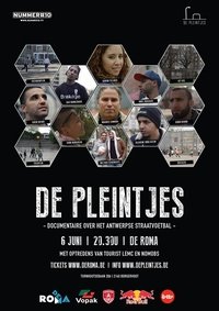 De pleintjes (2014)