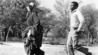 «Полевые лилии (1963)» — обои к фильму #7